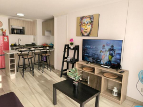 Comfortable apartment, access to Wi-Fi and Netflix